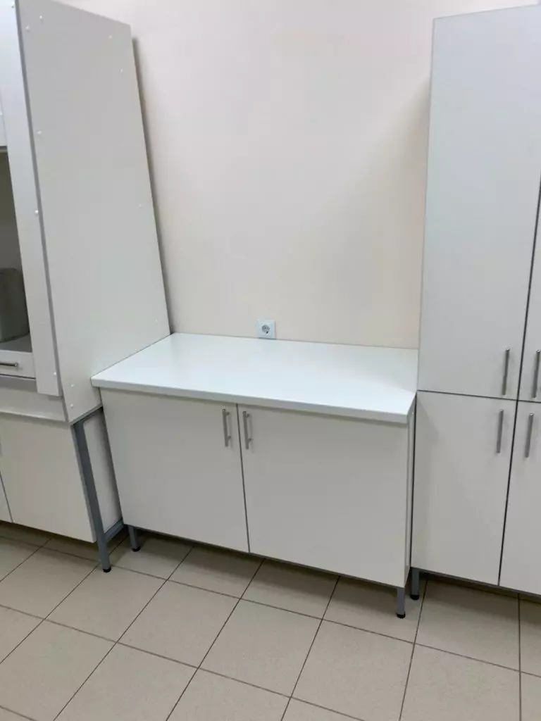 Стол лабораторный закрытый  2х дверный СТЛ - 08