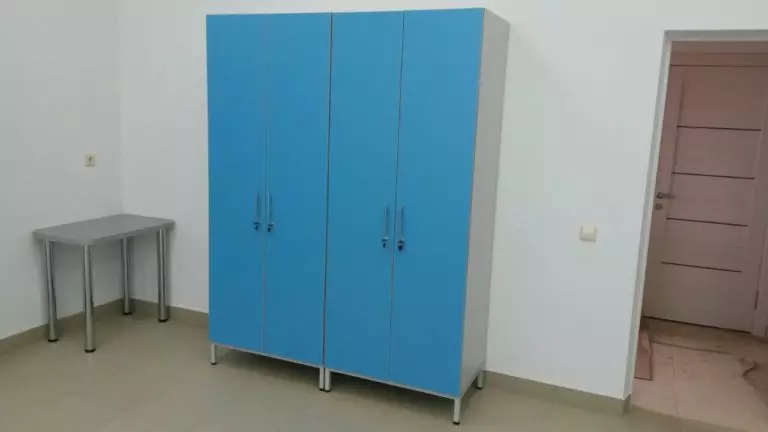 Лабораторный шкаф для лабораторного инвентаря ШКЛИ-01